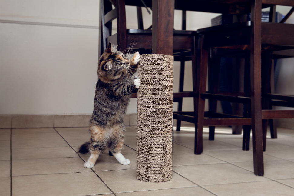 Kitty Corner Scratching Post (2 pieces)