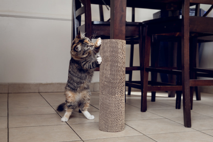 Kitty Corner Scratching Post (2 pieces)
